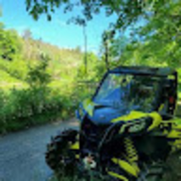 Meet your Posher, Tyler - Picture 1 of 1